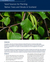 Seed Sources for Planting Native Trees and Shrubs in Scotland